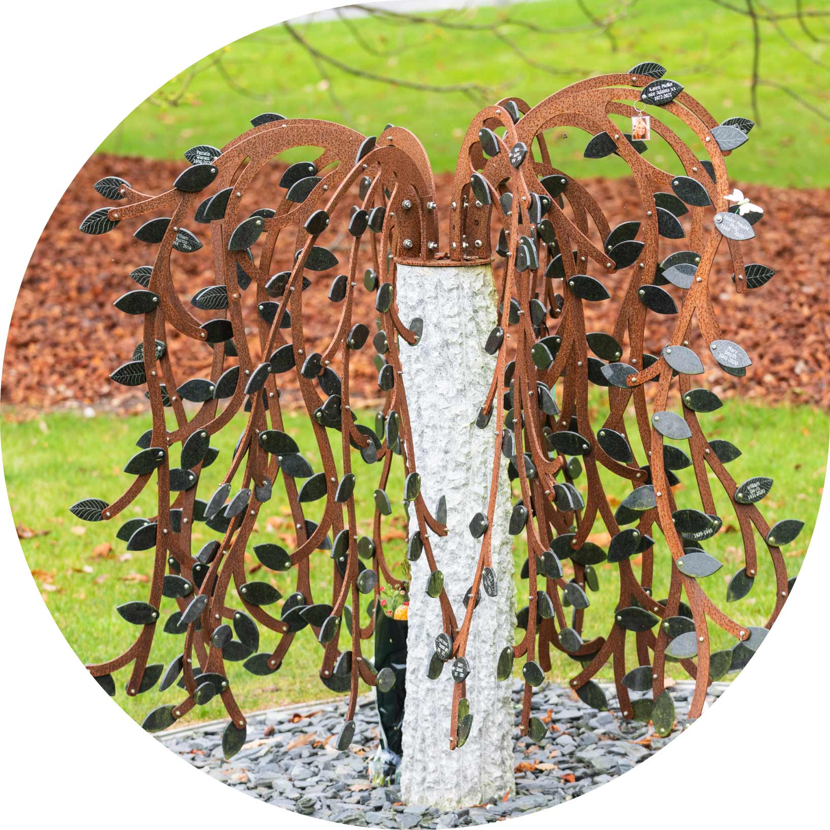 Willow Memorial Tree